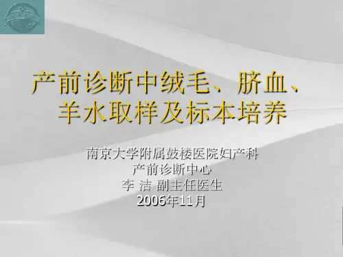 产前诊断中绒毛、脐血、羊水取样与标本