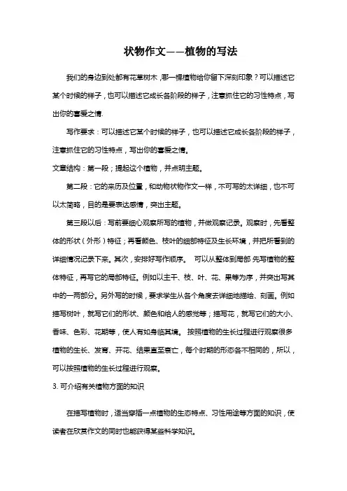 状物作文