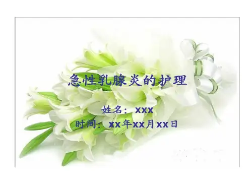 乳腺炎护理查房22页PPT
