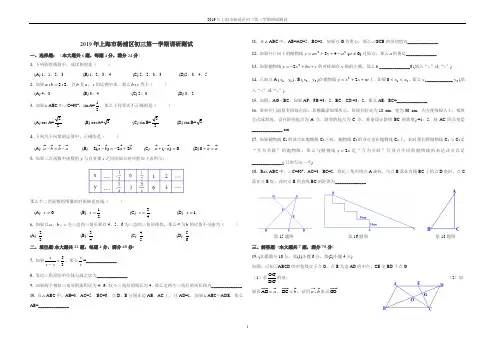2019年上海市杨浦区初三数学一模试卷A3