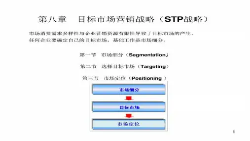 目标市场营销战略(2)