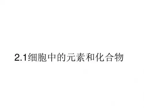 高一生物细胞中的元素和化合物3