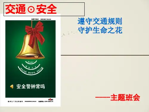 《交通安全主题班会》PPT课件