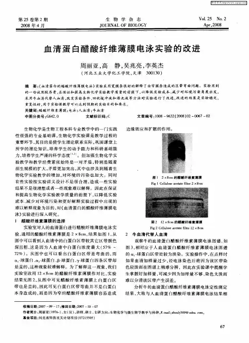 血清蛋白醋酸纤维薄膜电泳实验的改进
