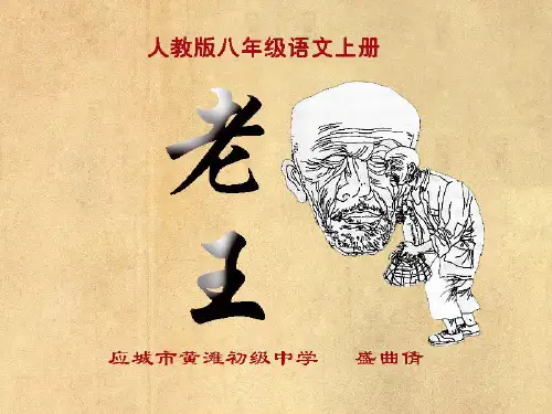 《老王》优秀说课课件
