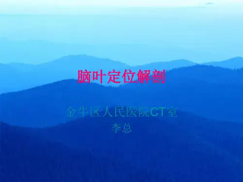 脑叶定位解剖