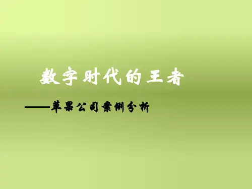 苹果公司案例分析