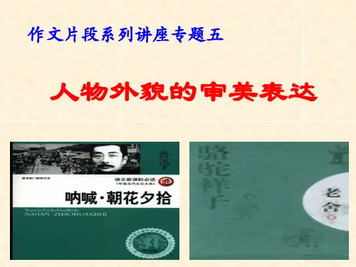 作文片段系列讲座五 人物外貌的审美表达——中考语文复习专题(共21张PPT)