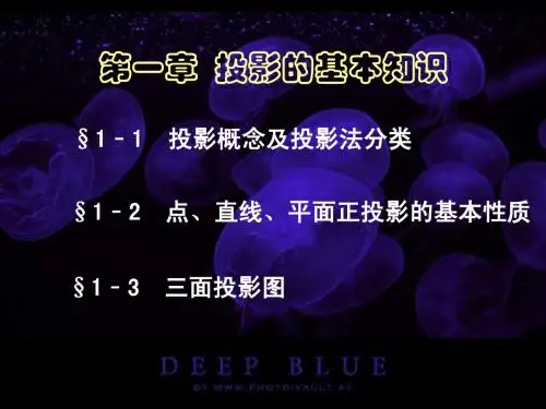 第一章 投影基础知识修订版