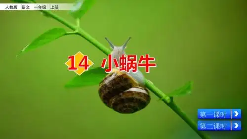 人教部编版一年级语文上册第14课《小蜗牛》优秀课件