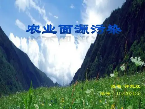 面源污染