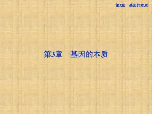 高考生物总复习DNA是主要的遗传物质课件(夯实双基 高频考点 专项突破 把脉高考)新人教版必修