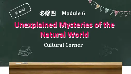 外研版高一英语必修四 Module 6   Cultrual Corner(30页)