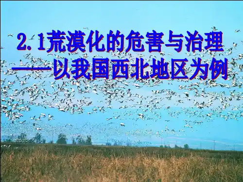 高中地理必修三湘教版课件：2.1荒漠化的危害和治理公开课(共32张PPT)