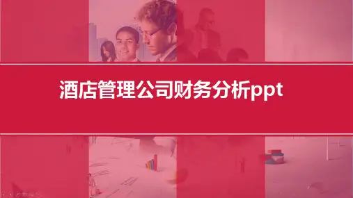 酒店管理公司财务分析ppt