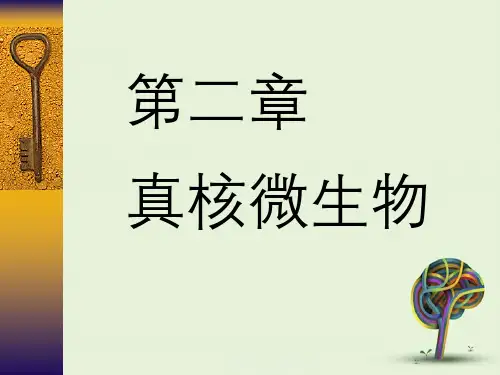 微生物学:真核微生物