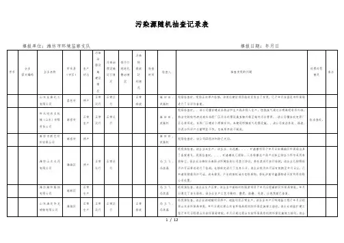 污染源随机抽查记录表 2