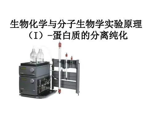 生物化学与分子生物学实验原理--蛋白质的分离纯化(下)(ppt 111)