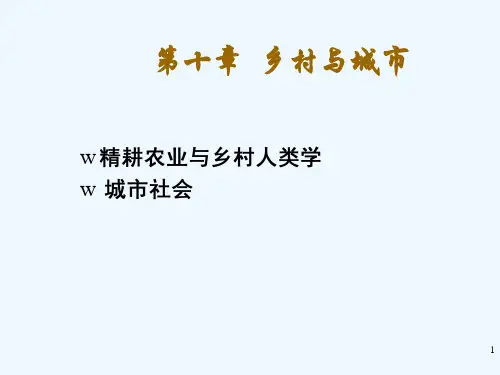人类学概论第十章村庄与城市