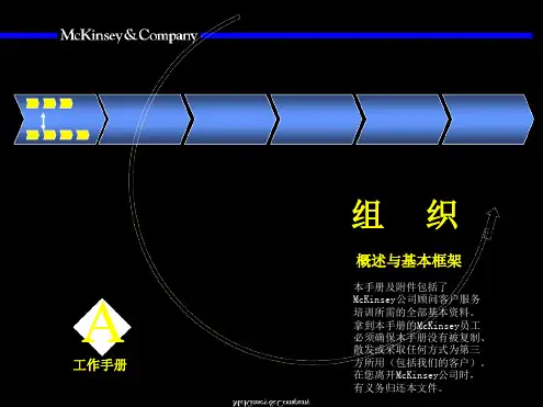 著名咨询公司麦肯锡组织咨询手册