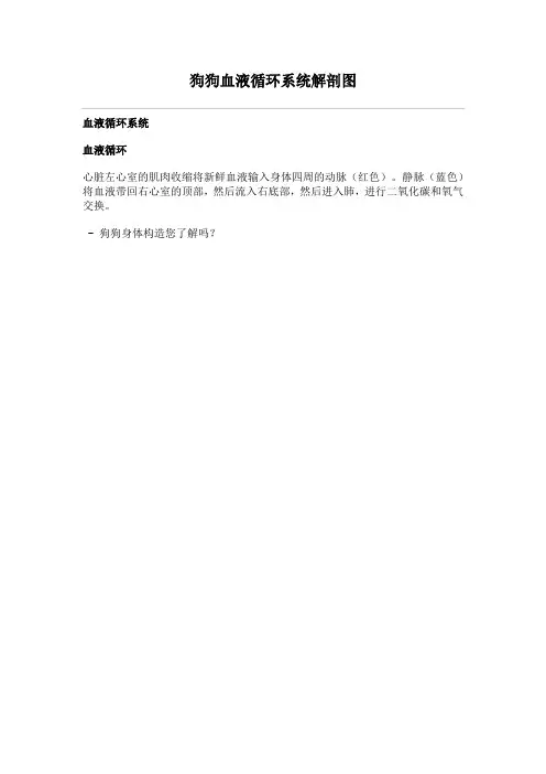 狗狗血液循环系统解剖图