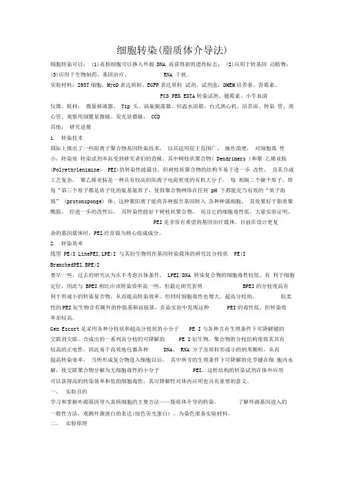 8、细胞转染(脂质体介导法)