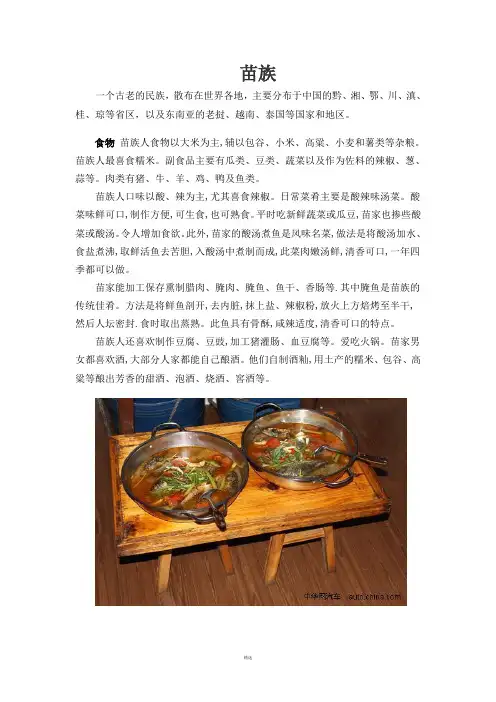 少数民族资料 2