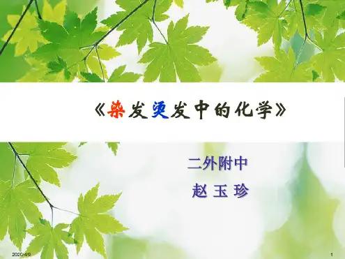 烫发染发中的化学课件