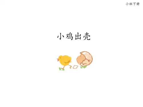 绘本:小鸡出壳