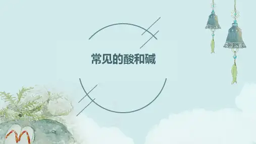 常见的酸和碱(可用)