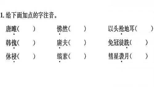 21、《唐雎不辱使命》《全解全习》课件