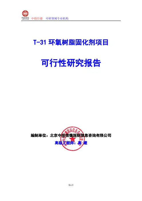 T-31环氧树脂固化剂项目可行性研究报告编制格式说明(模板型word)
