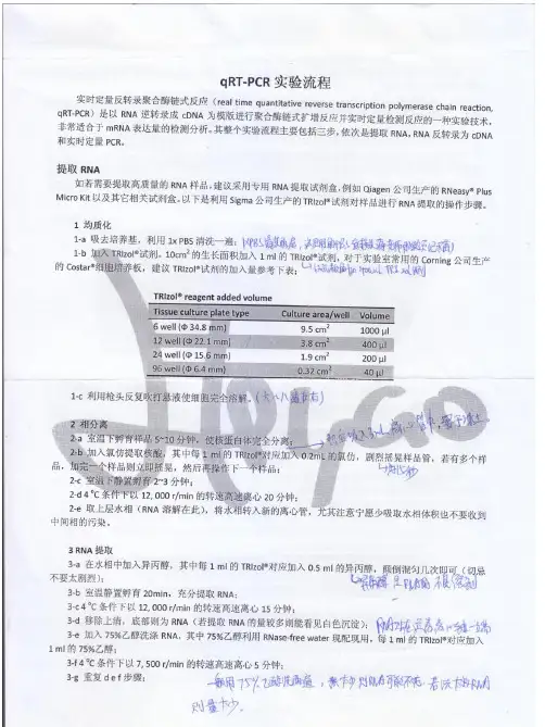 qRT-PCR实验操作流程