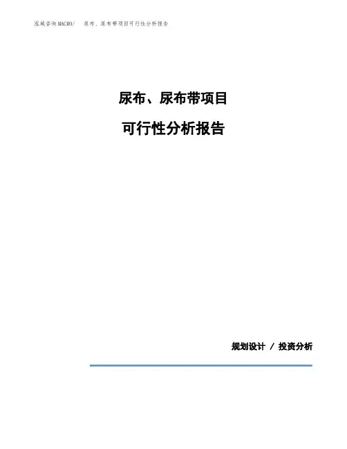 尿布、尿布带项目可行性分析报告(模板参考范文)