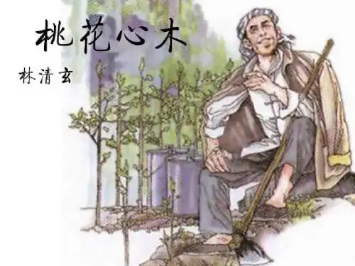 3、桃花心木课件