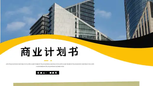 商业计划书模板PPT(9)