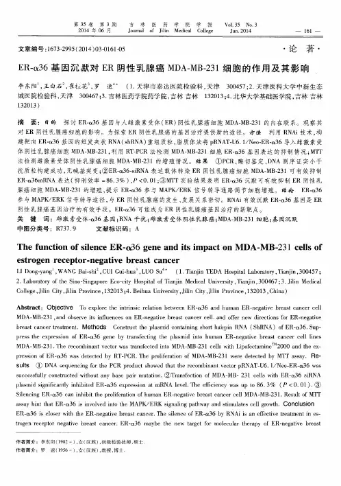 ER-α36基因沉默对ER阴性乳腺癌MDA-MB-231细胞的作用及其影响