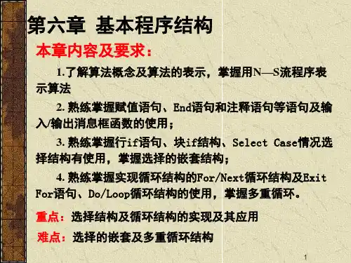 经典：vb基本程序结构