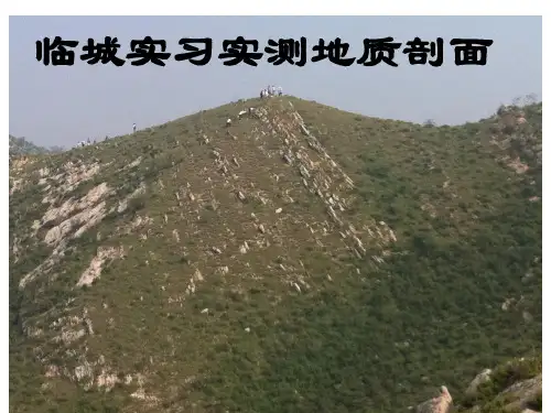 河北地质大学临城实测剖面 (1)
