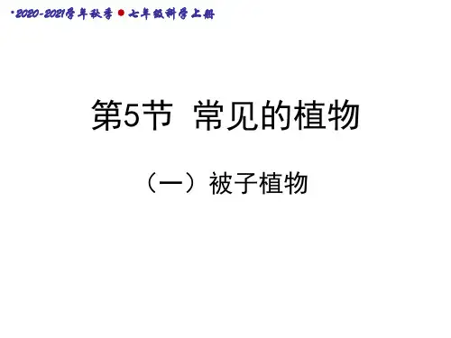 七年级科学上册常见的植物-(一) (1)ppt课件