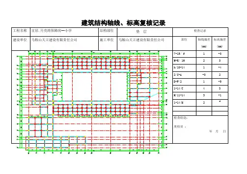 轴线标高复合记录