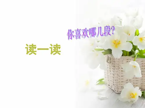 细节描写——记叙文