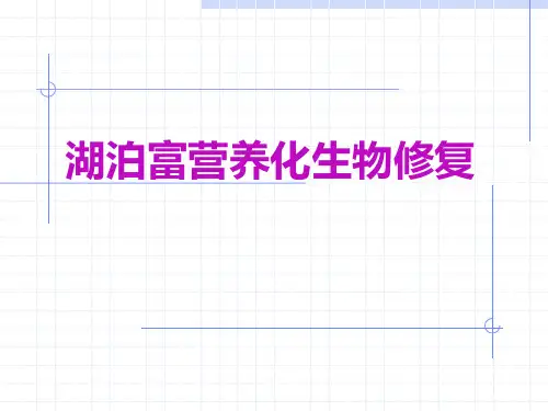 湖泊富营养化