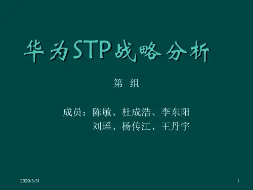 华为STP战略分析