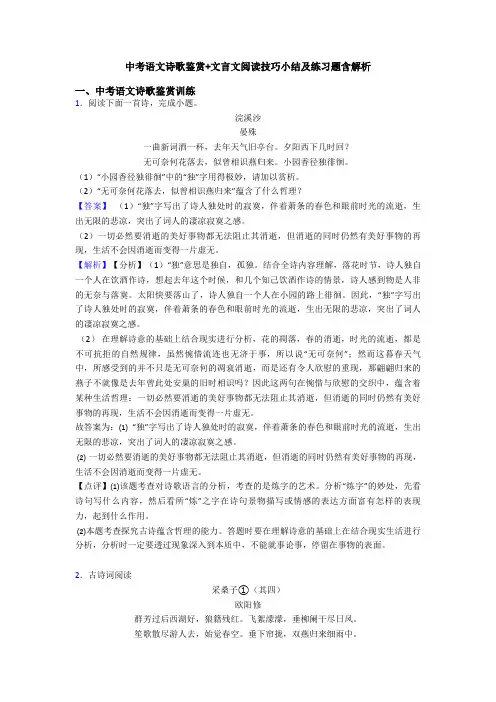 中考语文诗歌鉴赏+文言文阅读技巧小结及练习题含解析