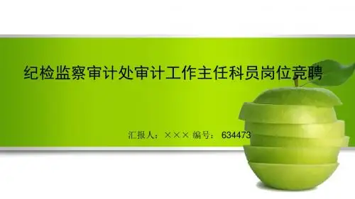 最新纪检监察审计处审计工作主任科员岗位竞聘演讲稿PPT模板