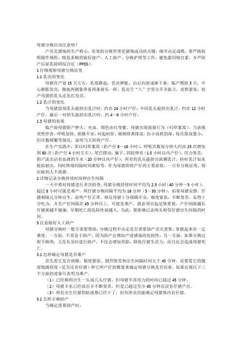 母猪分娩应该注意啥