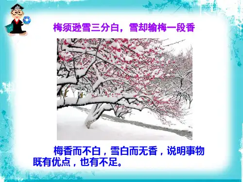 善于思辨—学习辩证分析 优质精品课件