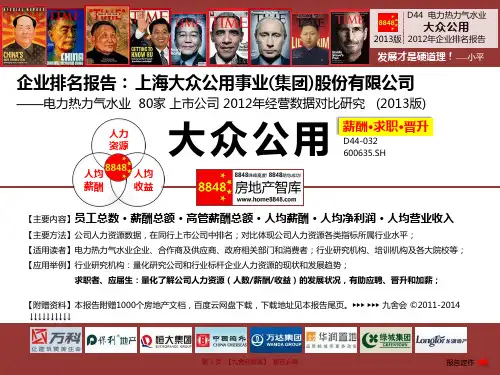大众公用招聘官网2013薪酬工资(电力热力气水业员工培训开发)上海大众公用事业集团股份有限公司_九舍会智库