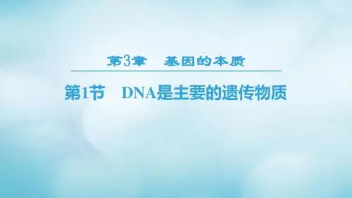 高中生物第三章基因的本质第1节DNA是主要的遗传物质课件新人教版必修2